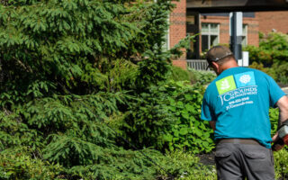 Seasonal Landscape Maintenance Plans