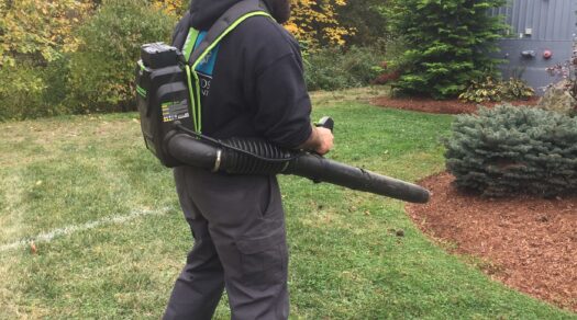 3 Reasons to Implement Electric Leaf Blowers