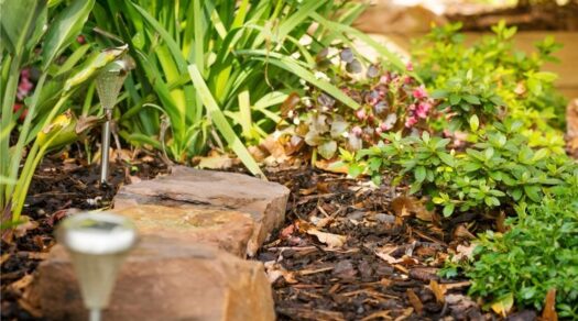 How To Build a Strong Landscape RFP