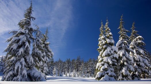 Why February Can be a BIG Snow Month