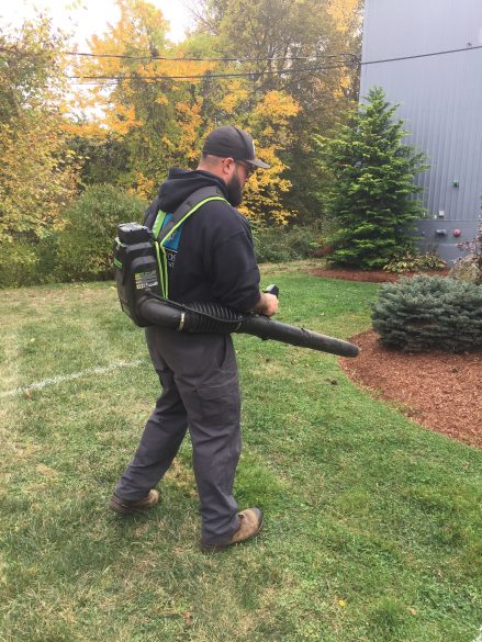 3 Reasons to Implement Electric Leaf Blowers