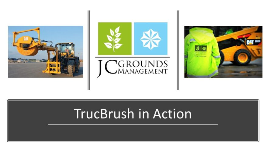 Benefits of using the TrucBrush